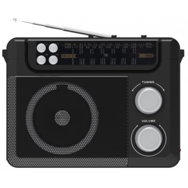 Радиоприемник Ritmix RPR-200 Black