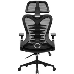 Кресло компьютерное EVOLUTION HarmonySpine