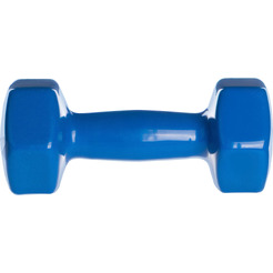 Гантель Sundays Fitness WD1454 (4кг, синий)