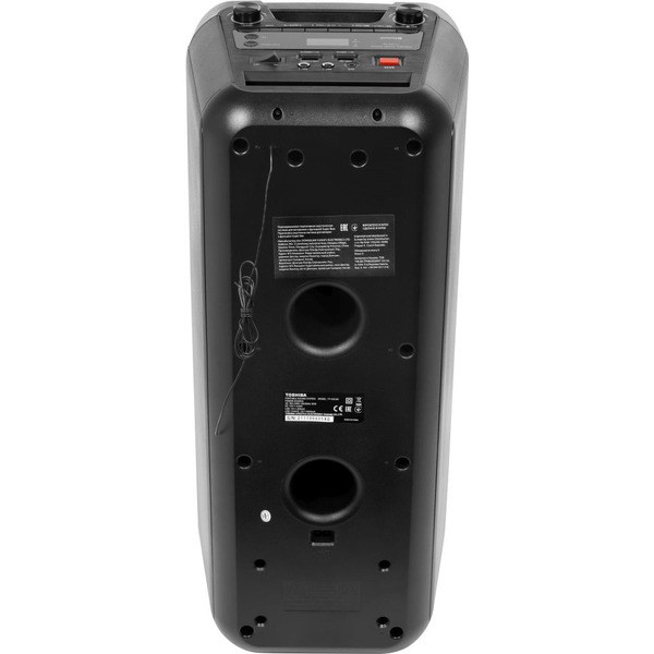 Колонка для вечеринок Toshiba TY-ASC66