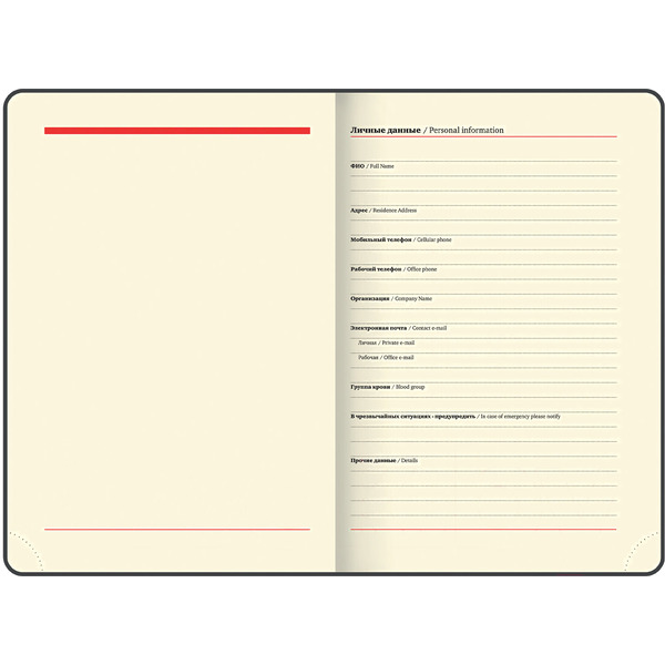 Ежедневник BRAUBERG недатированный Iguana 114456 (лиловый)