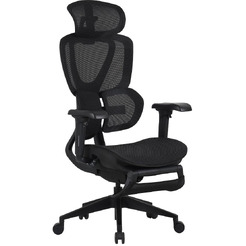 Кресло компьютерное EVOLUTION LX 1 Black