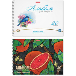 Альбом для акварели Erich Krause Birds и Juicy Fruits 63893 (2х20л)