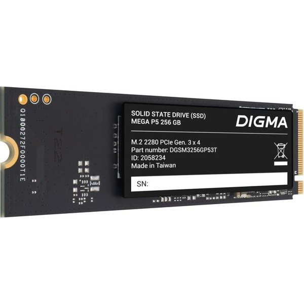 Накопитель SSD Digma DGSM3256GP53T