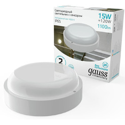 Светильник Gauss ЖКХ 126411215-S