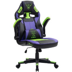 Игровое кресло FLOKY Asgard Purple-Green