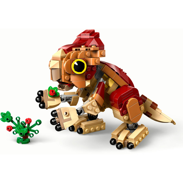 Конструктор LEGO Jurassic World Детёныш динозавра Долорес: Аквилопс 76970