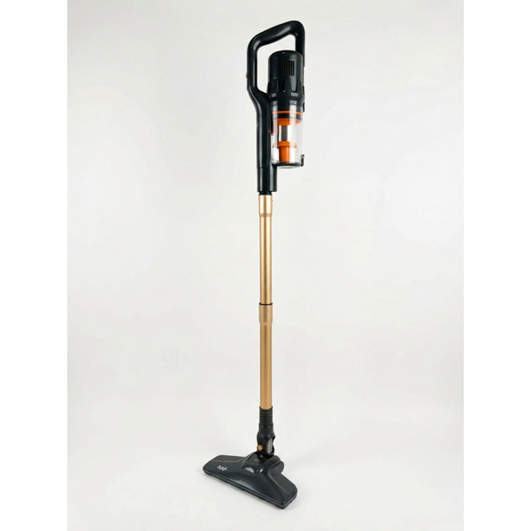 Пылесос RAF R.8739G