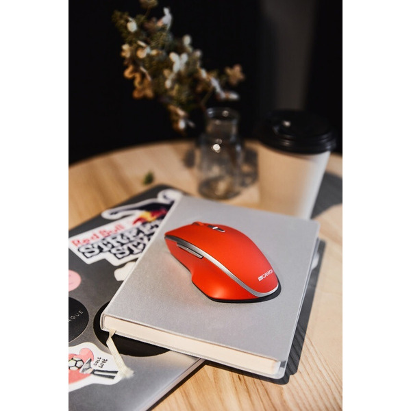 Мышь Canyon CNS-CMSW21R