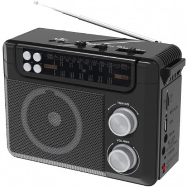 Радиоприемник Ritmix RPR-200 Black