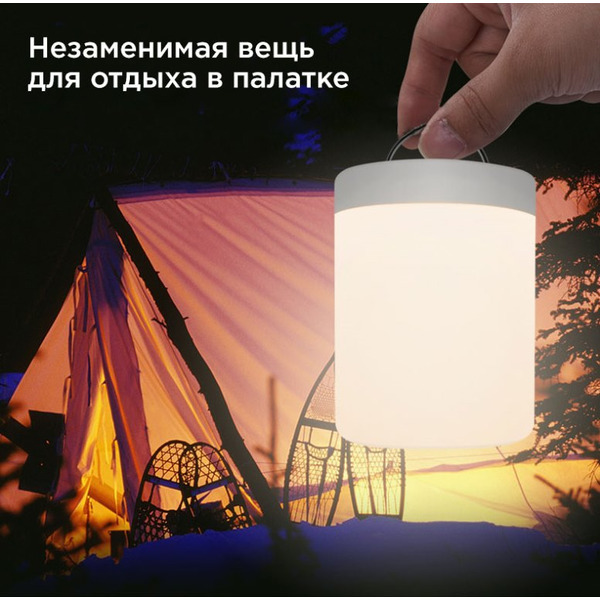 Ночник Evolution 1001