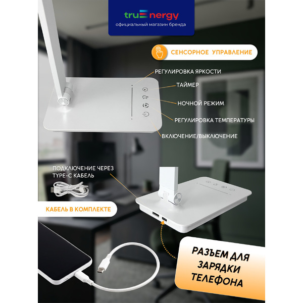 Светильник TRUENERGY TASK 29551