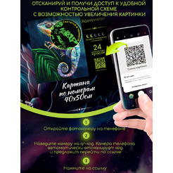 Картина по номерам Флюид Романтическая ночь 40x50 FHR0415