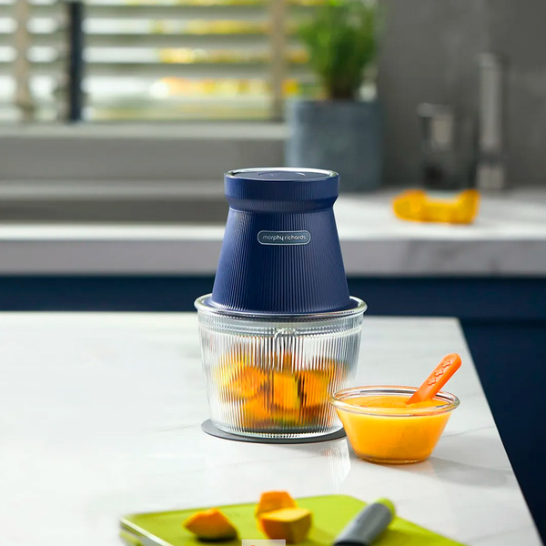 Измельчитель Morphy Richards MR9402