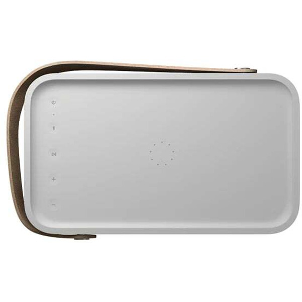 Беспроводная колонка Bang & Olufsen Beolit 20 (серый)