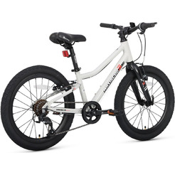 Велосипед детский Maxiscoo 3BIKE 20'' L Серый (2025) MSC-M3-2003