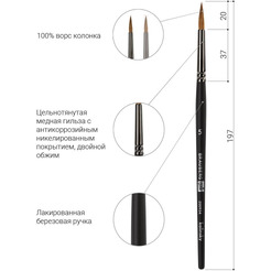 Кисть художественная профессиональная BRAUBERG Art Classic 5 200934 (круглая)