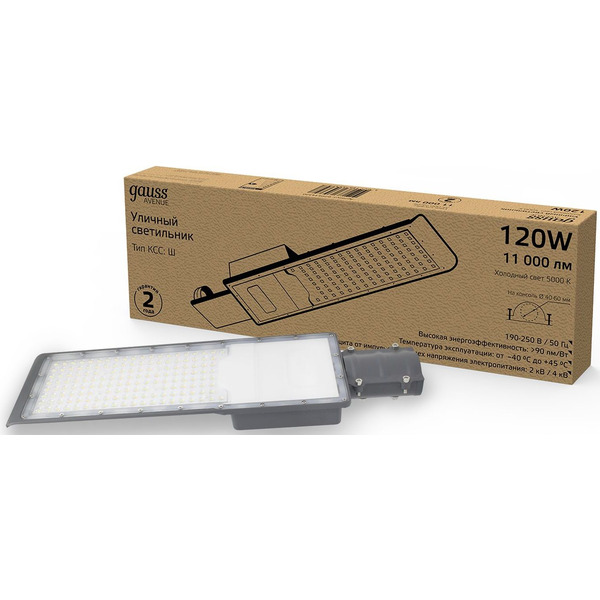 Светильник консольный Gauss 629534320