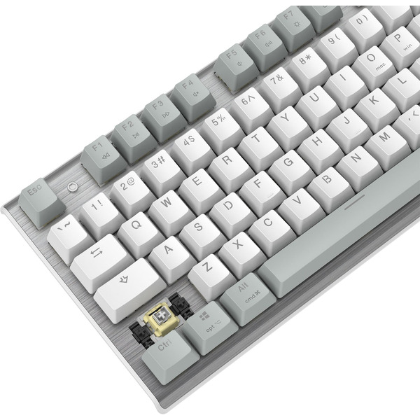 Клавиатура A4Tech Fstyler FS100 Neon (серебристый/серый)