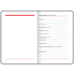 Ежедневник недатированный BRAUBERG Profile 123428