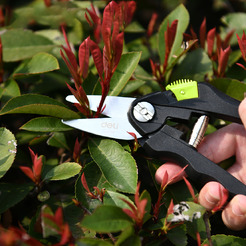 Секатор Deli EDL580101