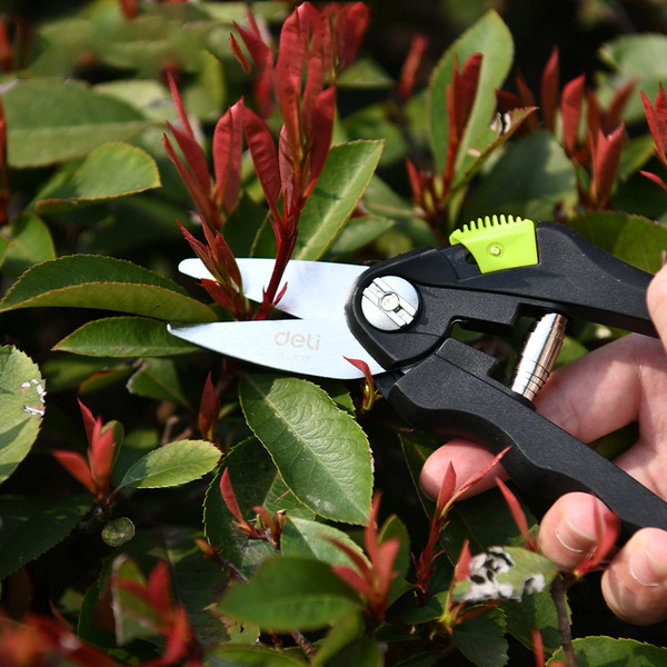 Секатор Deli EDL580101