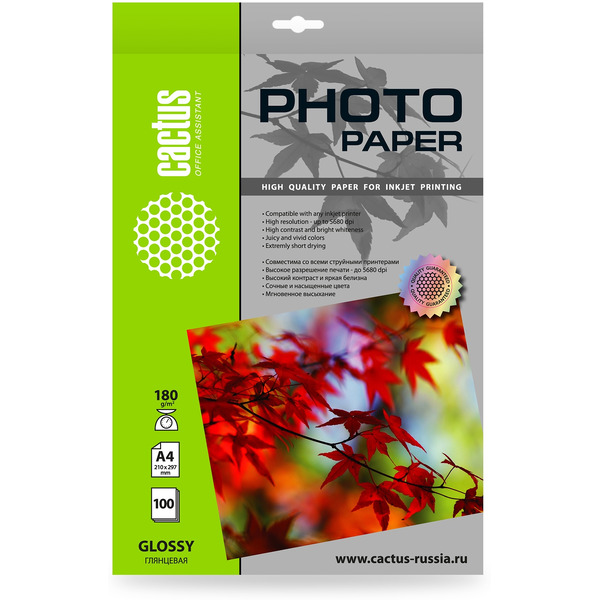 Фотобумага Cactus CS-GA4180100