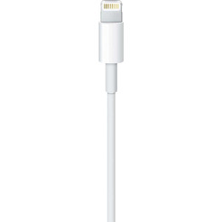 Кабель Apple USB 2.0 Type-A - Lightning MUQW3ZM/A (1 м, белый)