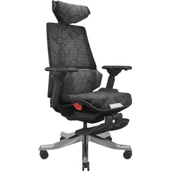 Игровое кресло ErgoSmart Bloodragon (черный/серебристый)
