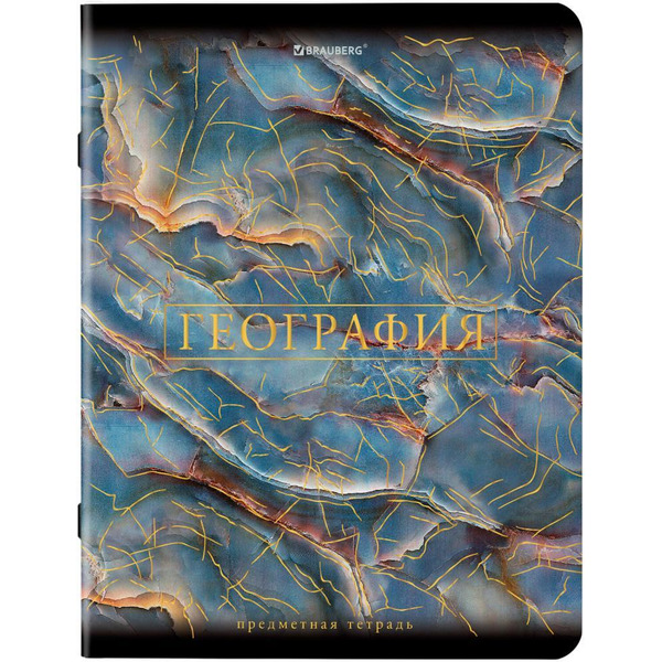 Тетради предметные BRAUBERG 404326 (КОМПЛЕКТ 12 ПРЕДМЕТОВ, 48л, SoftTouch, фольга)