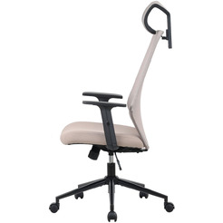 Компьютерное кресло ZONE 51 VECTIS ONE Light Beige (Z51FVCOLB)