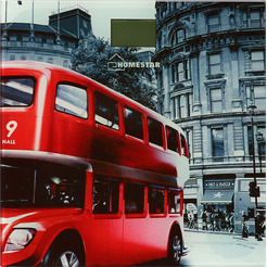 Напольные весы HomeStar HS-6001F