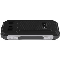 Мобильный телефон Maxvi T100 (черный)