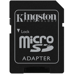 Карта памяти Kingston Canvas Go! Plus microSDXC 256GB (SDCG4/256GB)