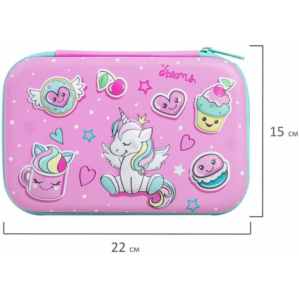 Пенал BRAUBERG KIDS 271557 (1 отделение, 1 откидная планка, 22х15х4см)