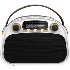 Радиоприемник Ritmix RPR-040 (белый)