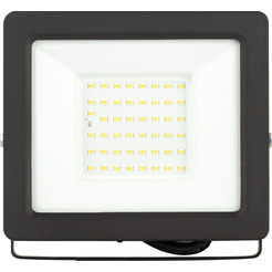 Уличный прожектор ЭРА LPR-042-3-65K-050