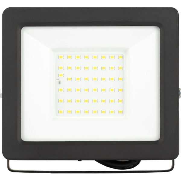 Уличный прожектор ЭРА LPR-042-3-65K-050