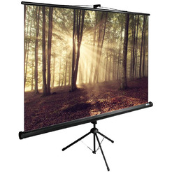 Экран CACTUS TriExpert CS-PSTE-180X135-BK
