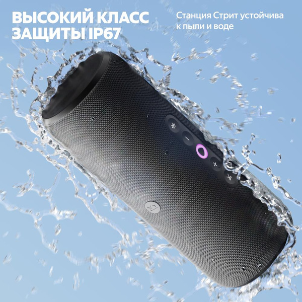 Портативная Умная колонка Яндекс.Станция Стрит YNDX-00030BLK (черный)