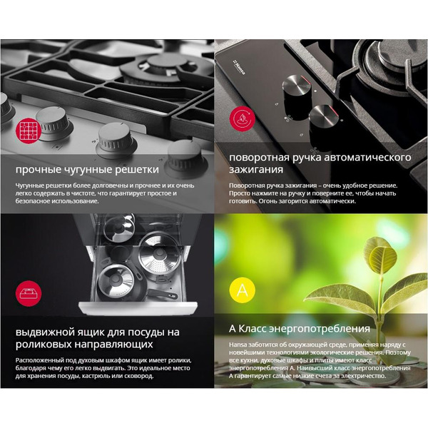 Кухонная плита Hansa FCMS582258
