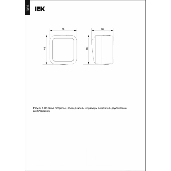 Выключатель IEK Tors TS-V14-0-10-55-K41