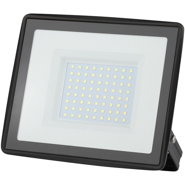 Уличный прожектор ЭРА LPR-023-0-65K-100