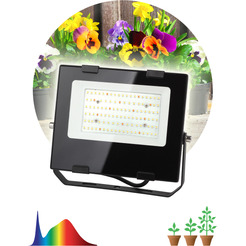 Фитопрожектор ЭРА FITO-50W-Ra90-LED