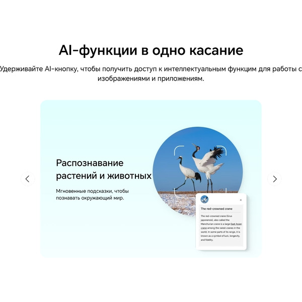 Смартфон HONOR X6c NIC-LX1 6GB/256GB (белый)