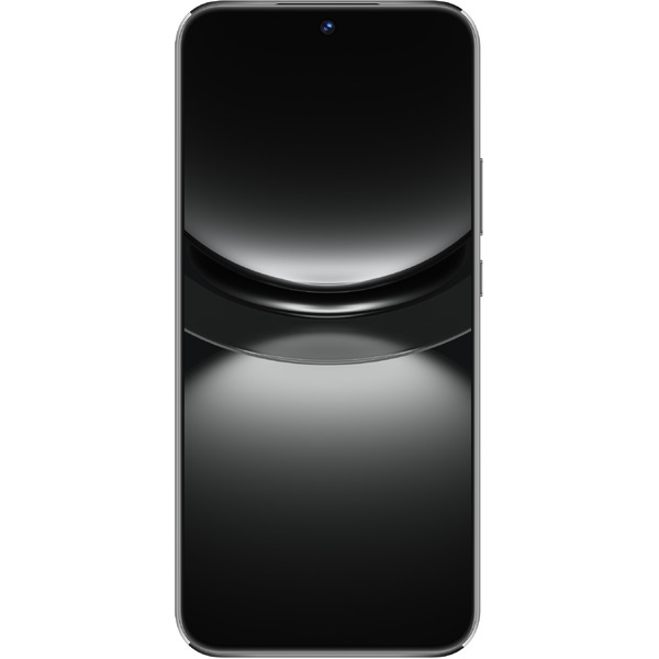 Смартфон Huawei nova 12s FOA-LX9 8GB/256GB (черный)