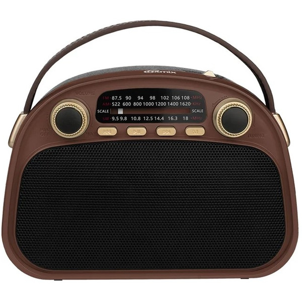 Радиоприемник Ritmix RPR-040 (шоколадный)