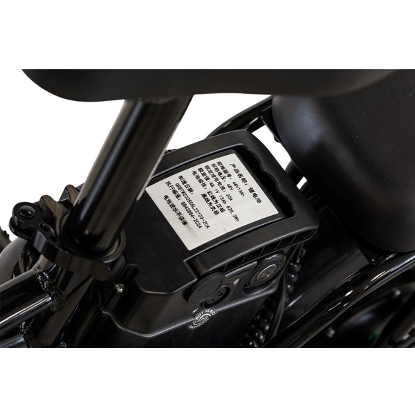 Электровелосипед Yakama S5 (черный)