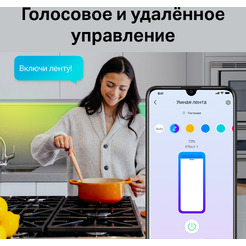 Готовый комплект светодиодной ленты TP-Link Tapo L900-5 (5 м)