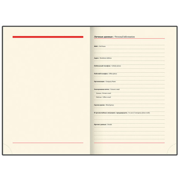 Ежедневник BRAUBERG недатированный Flame 113425 (черный)